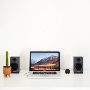3-inch Desktop Monitors (Pair)
