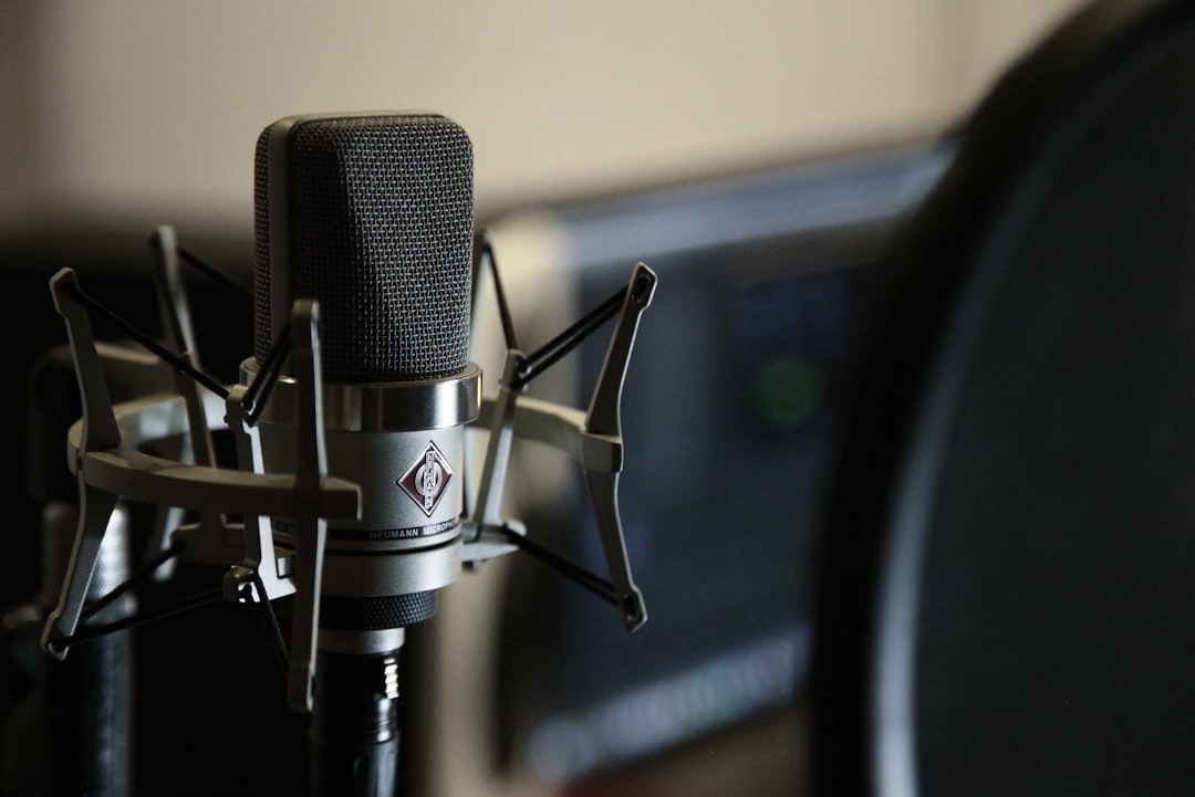 Black and silver microphone on black stand