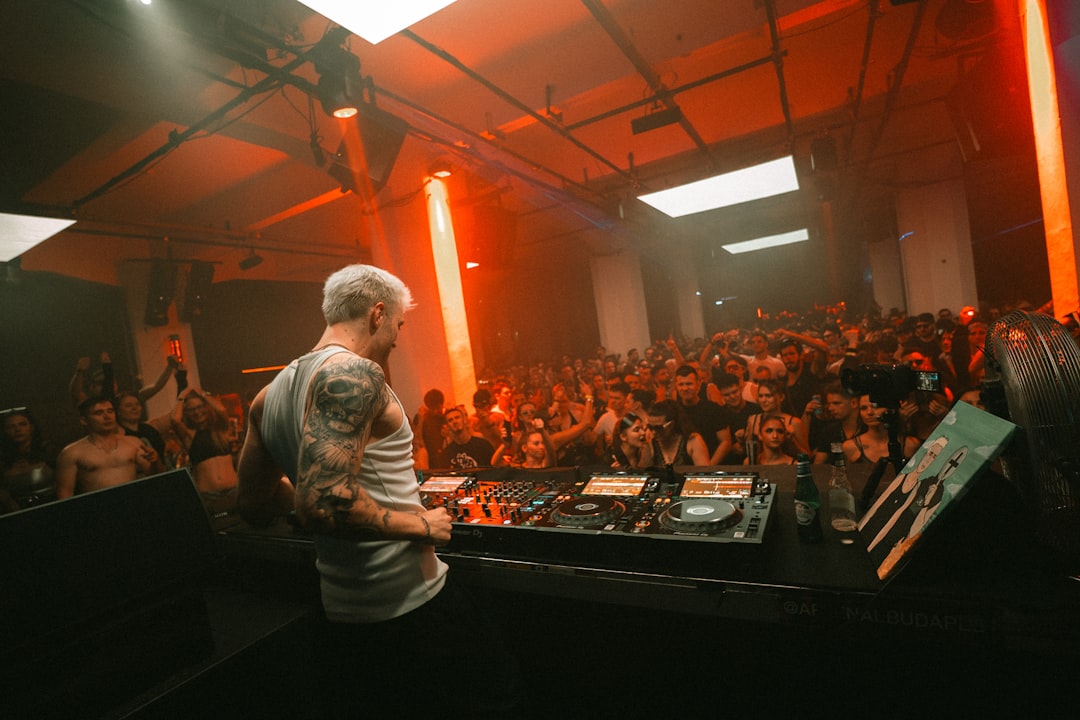 Dj performing for a large crowd at a concert