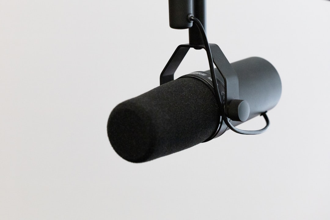 The Best Ribbon Microphones