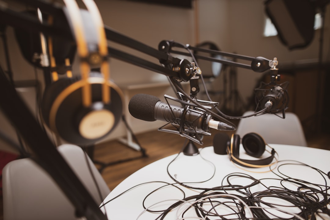 Gray ad black condenser microphone