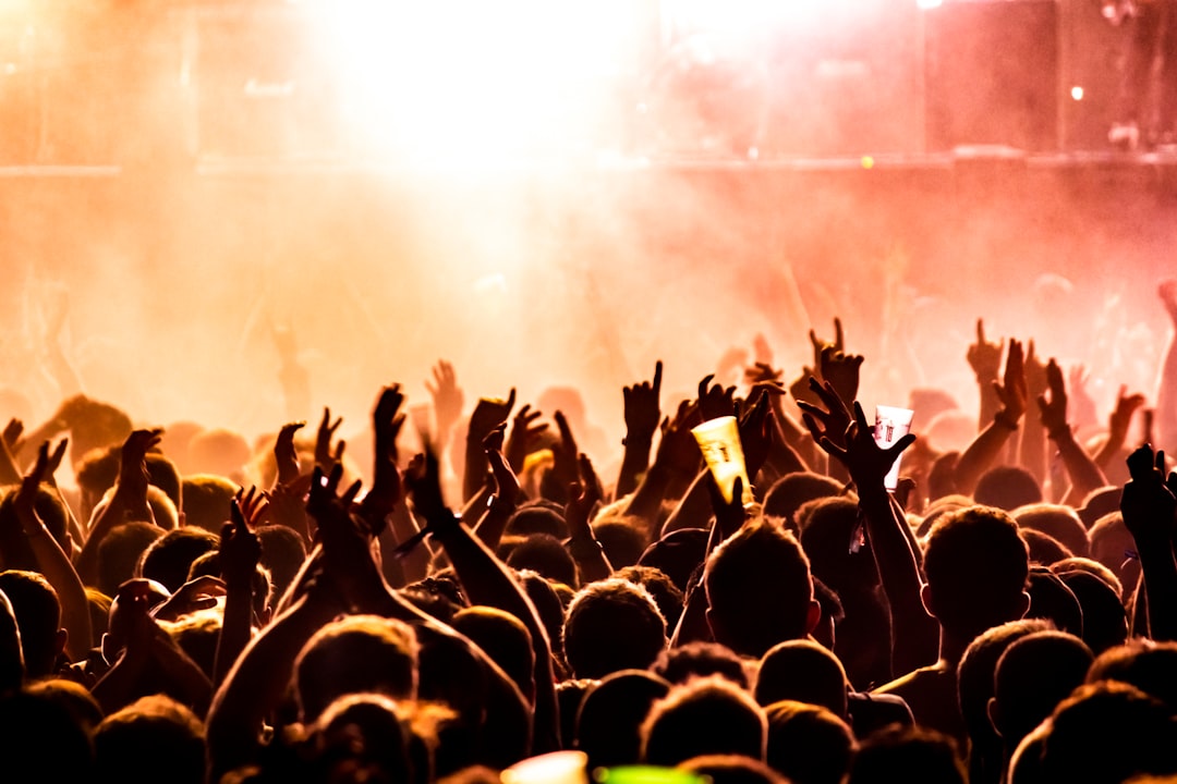 People raising their hands on concert