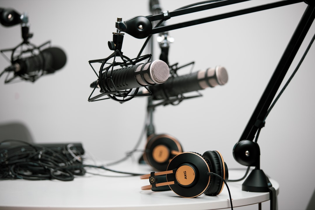 Two grey condenser micrphones