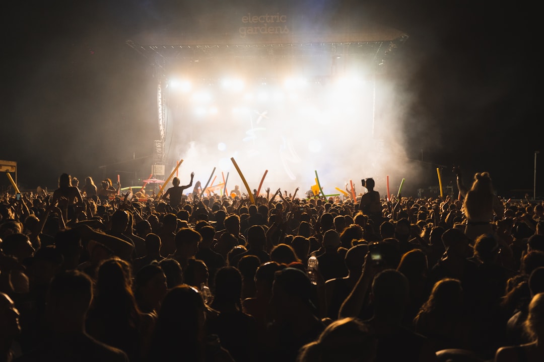 Group of people enjoying concerts