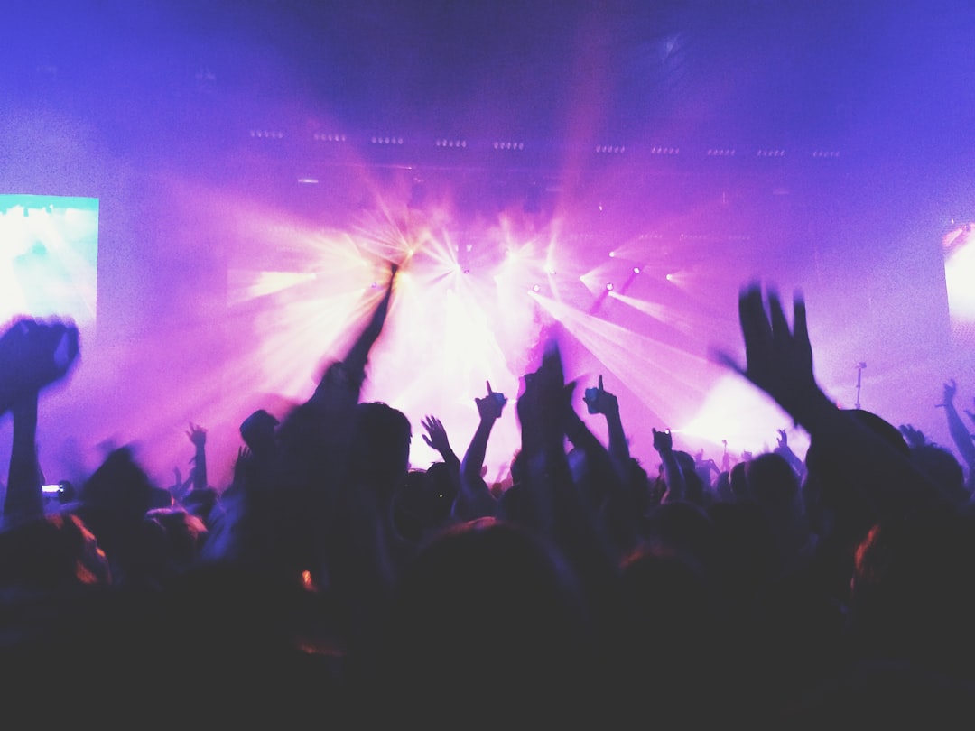 Crowd of people at concert