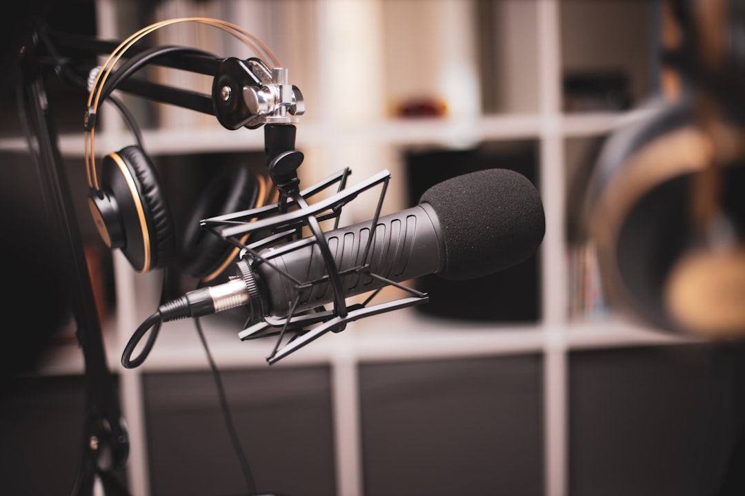 Grey condenser microphone