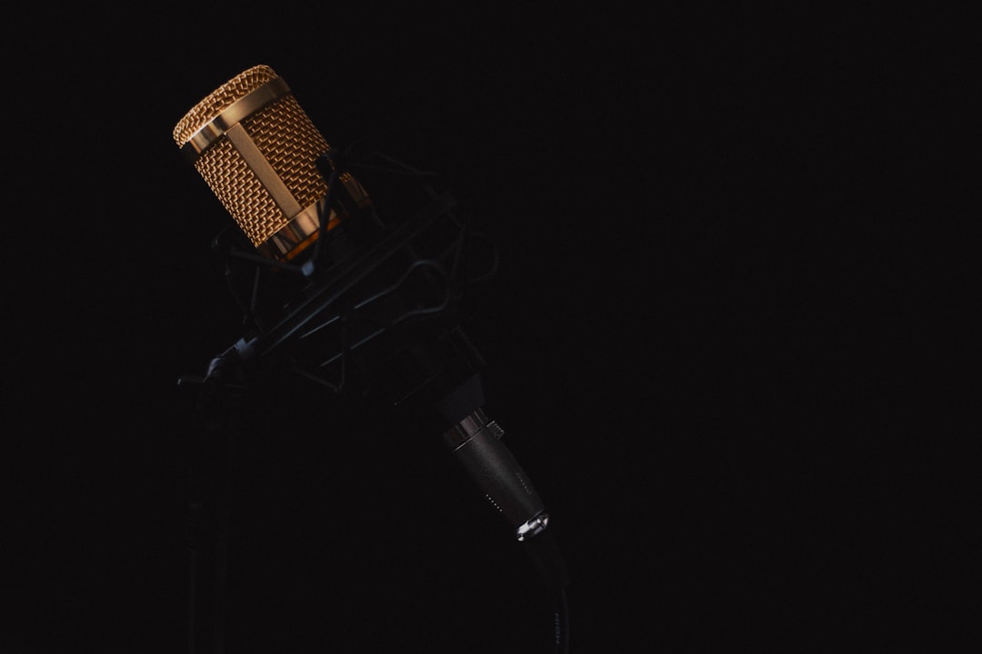Black and gray condenser microphone