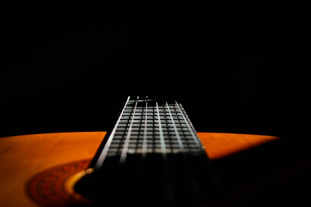 Close-up photography of black and brown guitar
