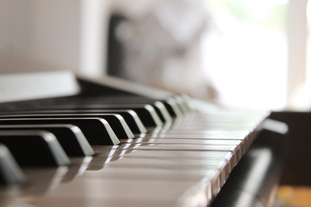 Black and white piano keys